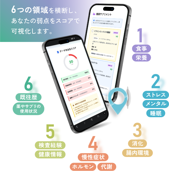 6つの領域を横断し、あなたの弱点をスコアで可視化します。